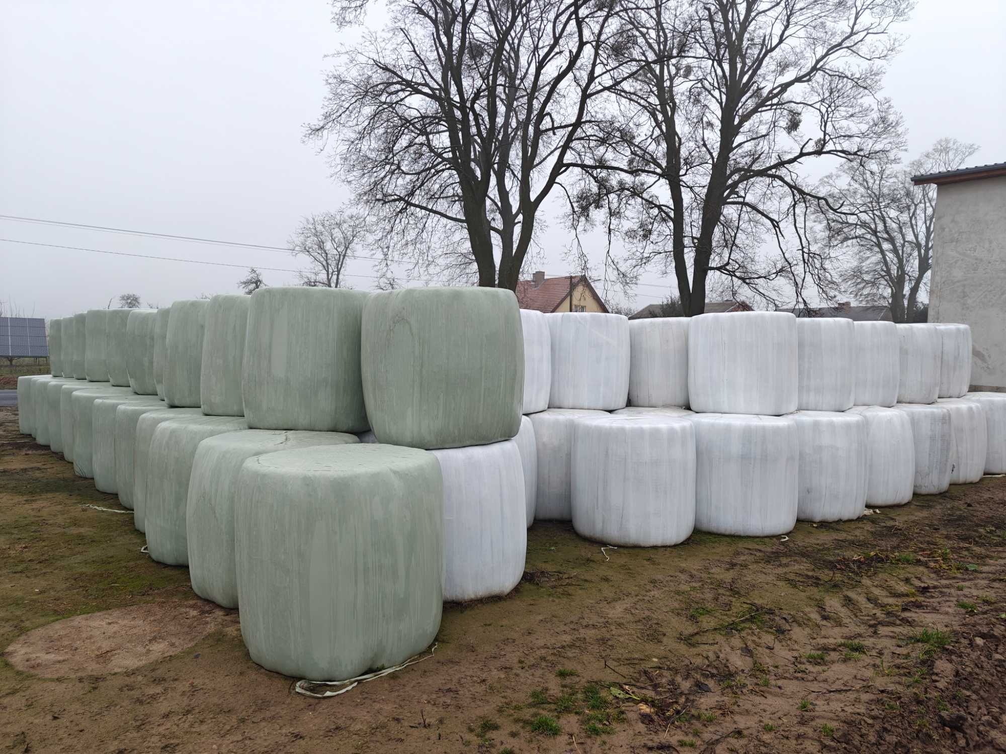 Sianokiszonka 2024 po Krone VariPack