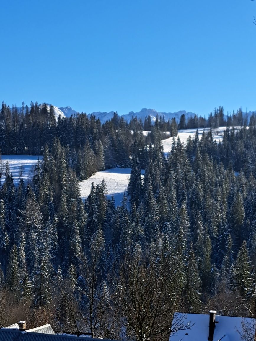 Domek u Lassaków