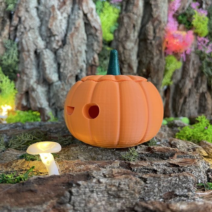 Pan Dynia ozodba na halloween i dla Jesieniarzy