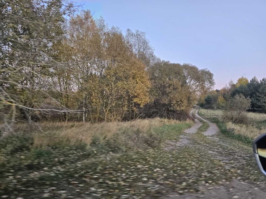 Grunty rolne Podlasie z linią elektryczną średniego napięcia