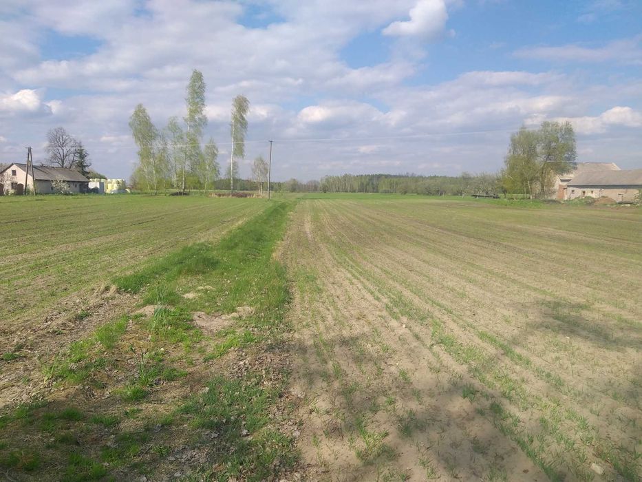 Działka 2,79 ha wydane Warunki zabudowy , media w działce