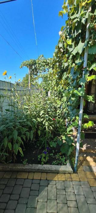 Садовий будинок у районі Цегельного Заводу