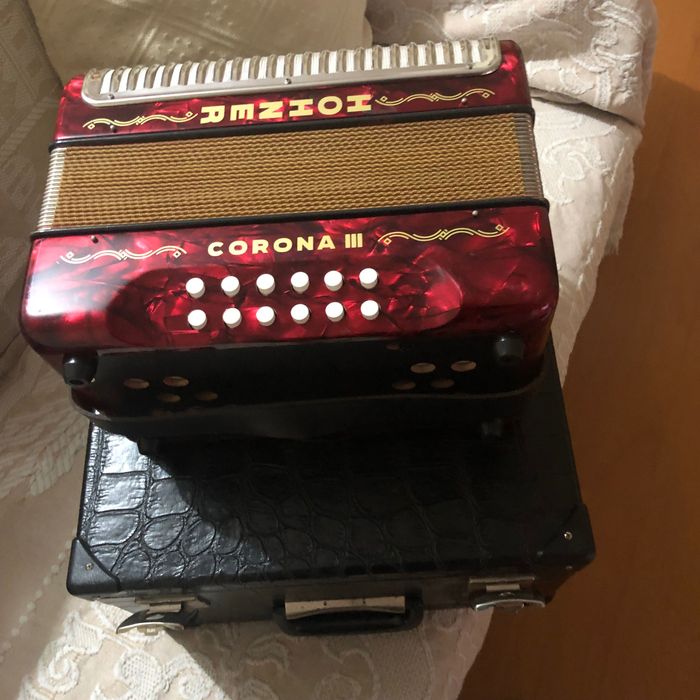 Concertina como nova