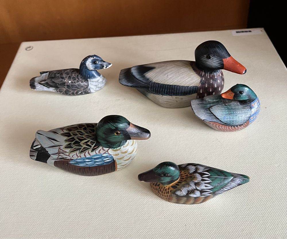Conjunto de 5 Patos