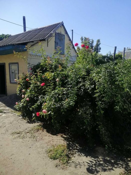 Продам дом Приватизированный участок 10 соток Диевка 1