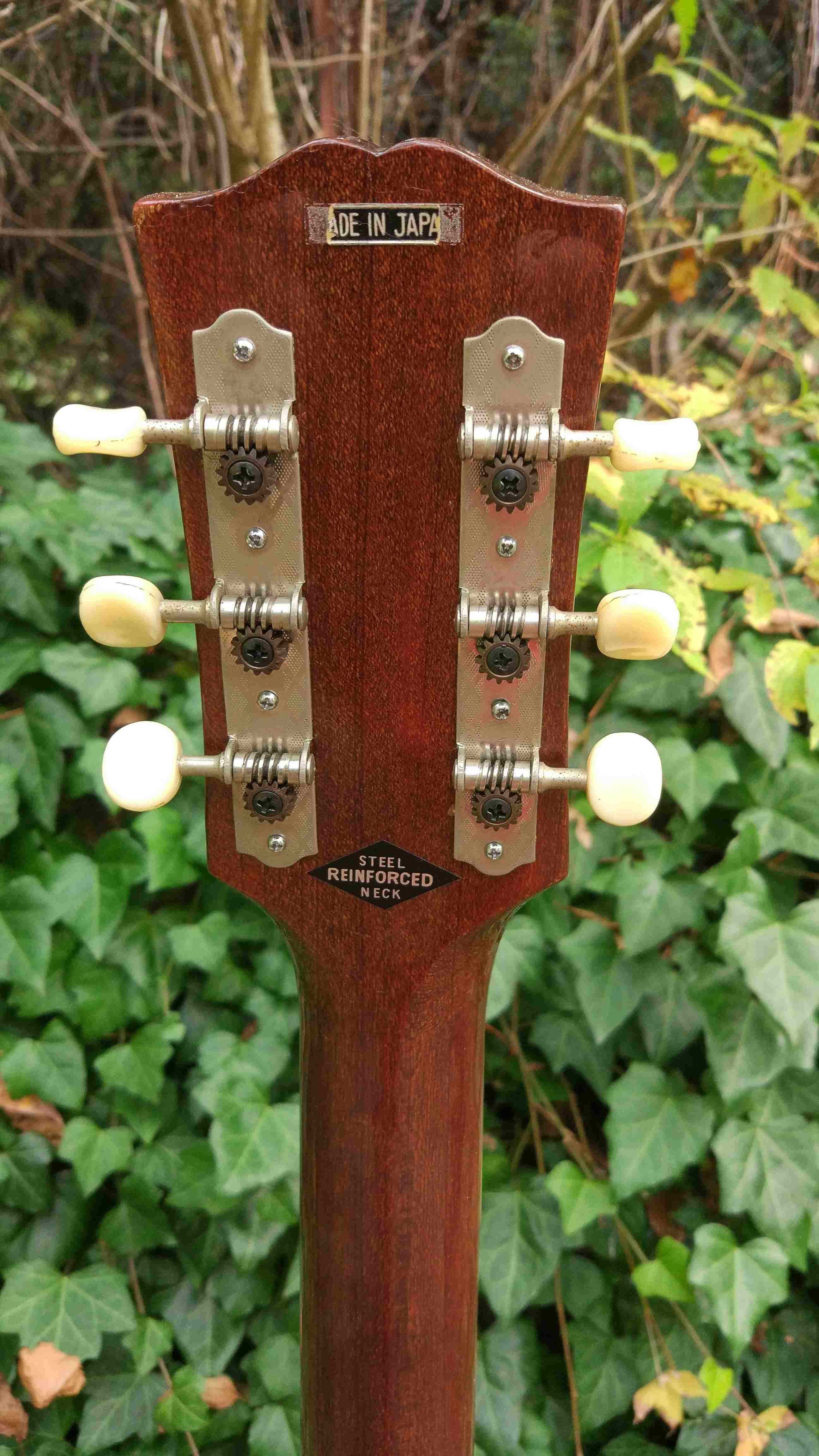 Gitara akustyczna Kor/Sonic- mane in Japan