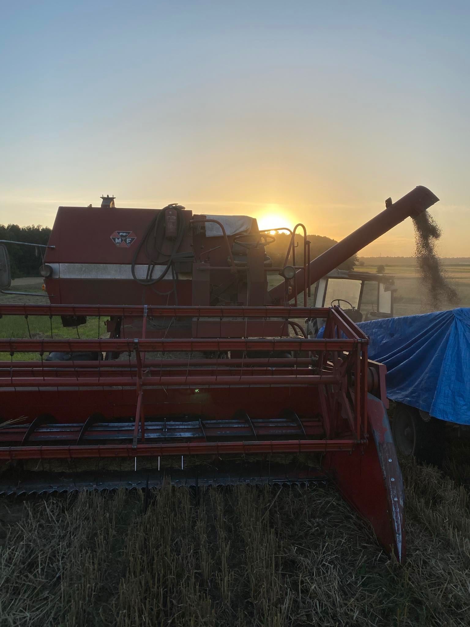 Kombajn zbożowy  Massey Ferguson 187