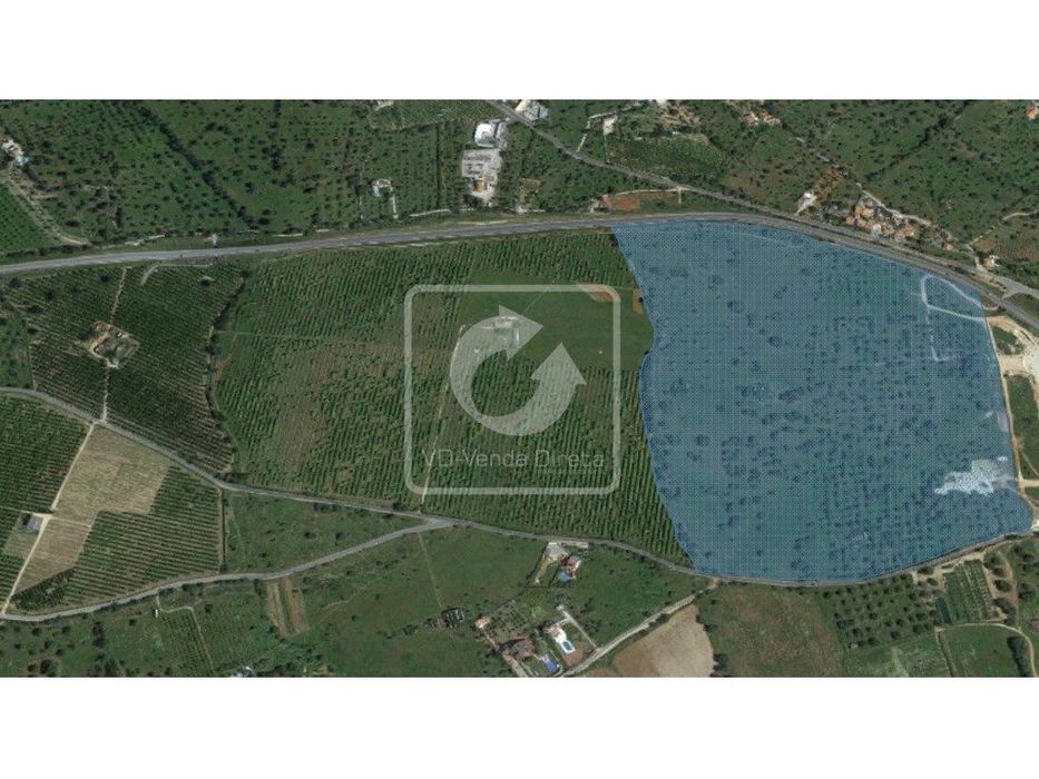 IMÓVEL DA BANCA - Terreno em Tavira com 21,8 hectares
