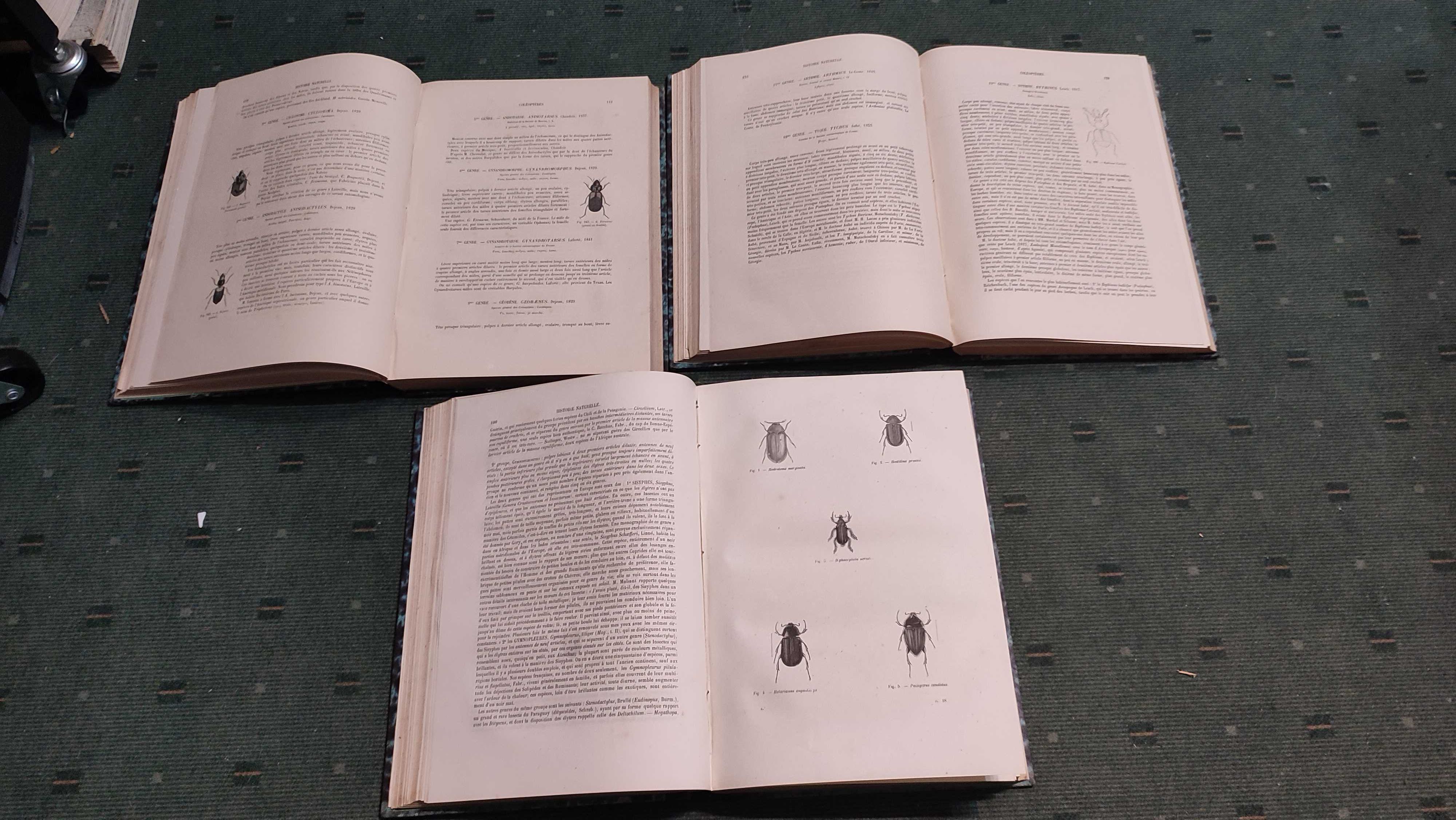 Encyclopédie D'Histoire Naturelle Traité Complet -Coléopteres - 3 Vol