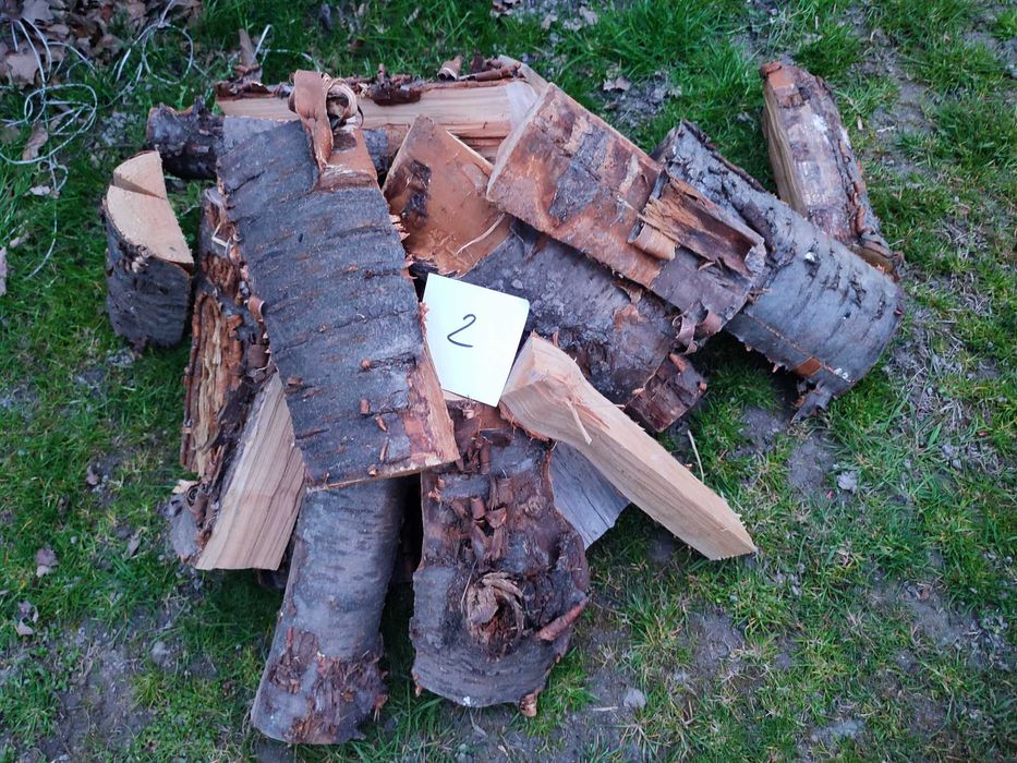 Drzewo do wędzenia czereśnia plus wiśnia gratis