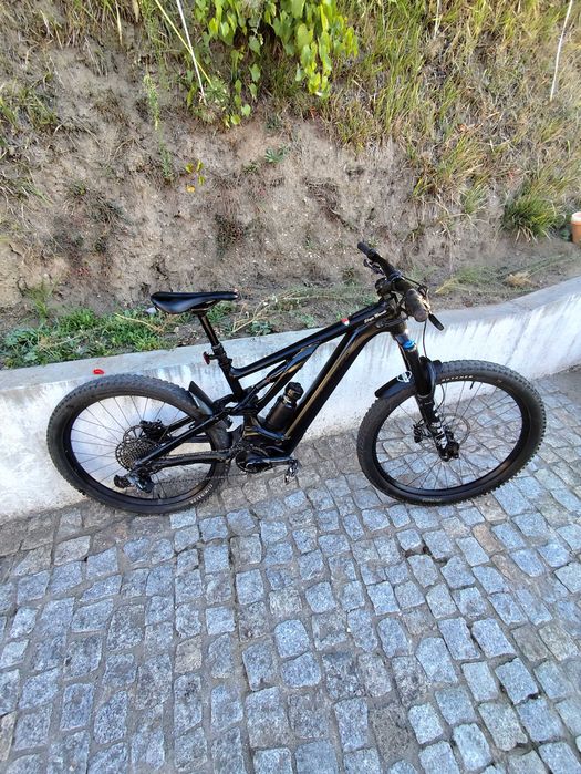 Specialized turbo levo