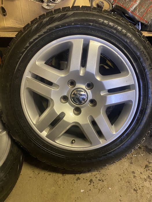 Ризина зіма на дисках