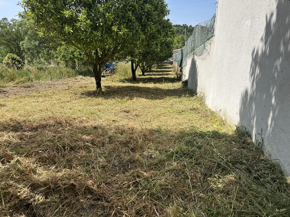 Limpeza terrenos, corte arvores, jardinagem ,trabalhos de maquina