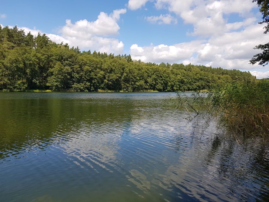 Noclegi , kwatery pracownicze , wynajem sali