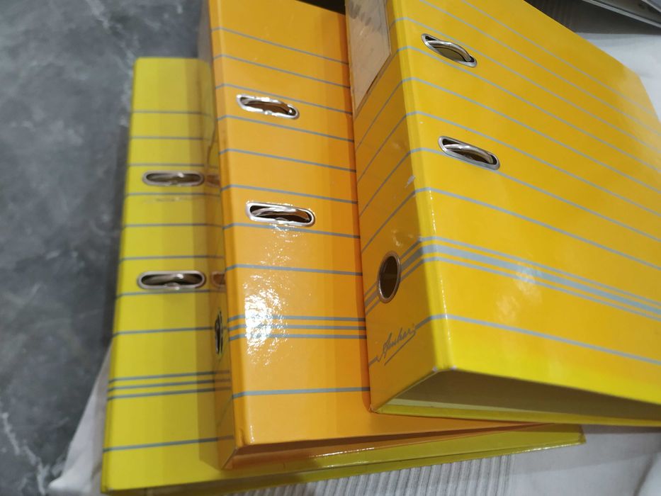 Dossiers (várias cores, tamanhos e modelos)