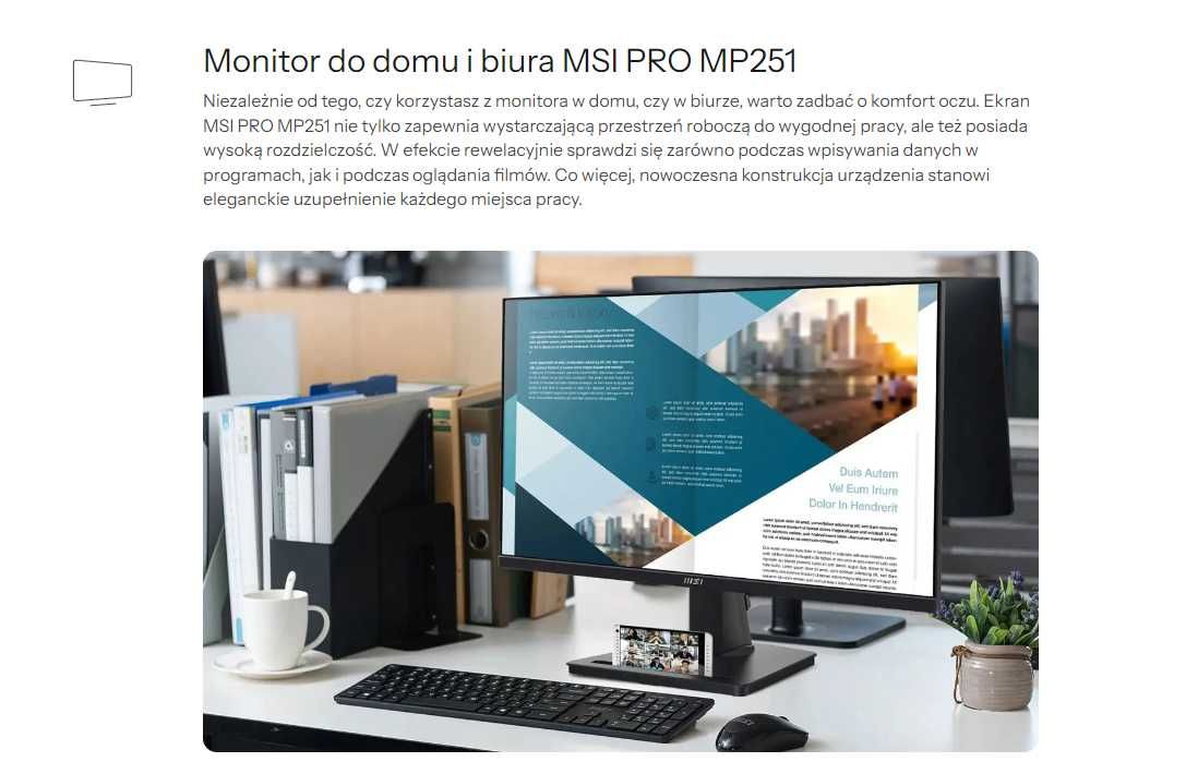 Monitor MSI PRO MP251