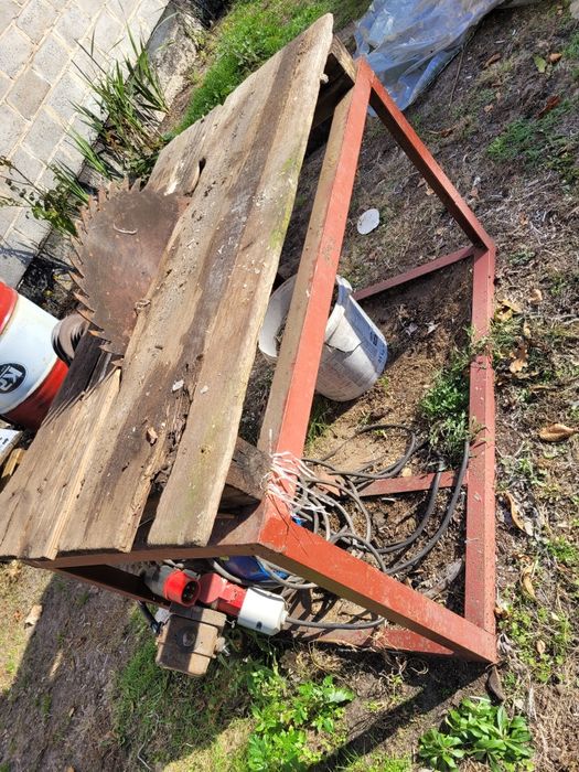 Krajzega Piła Stołowa