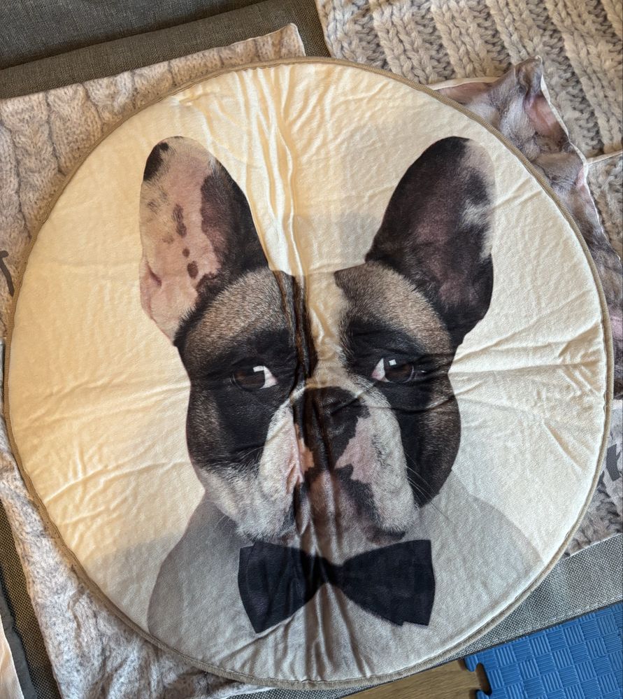 Poszewka dywanik buldog