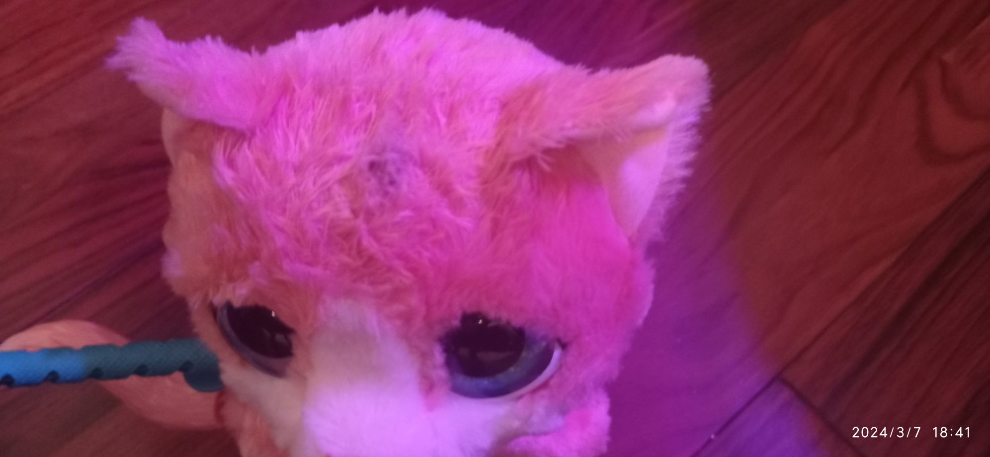 Hasbro Kotek furreal