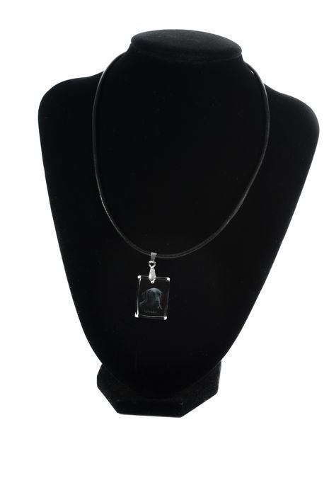 Labrador Retriever wisiorek kryształowy z psem Art-Dog