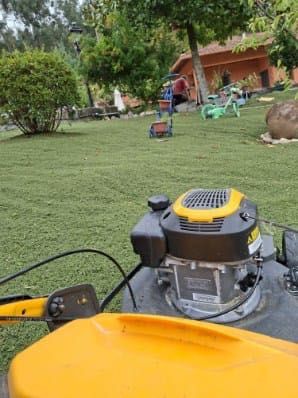 Máquina cortar relva