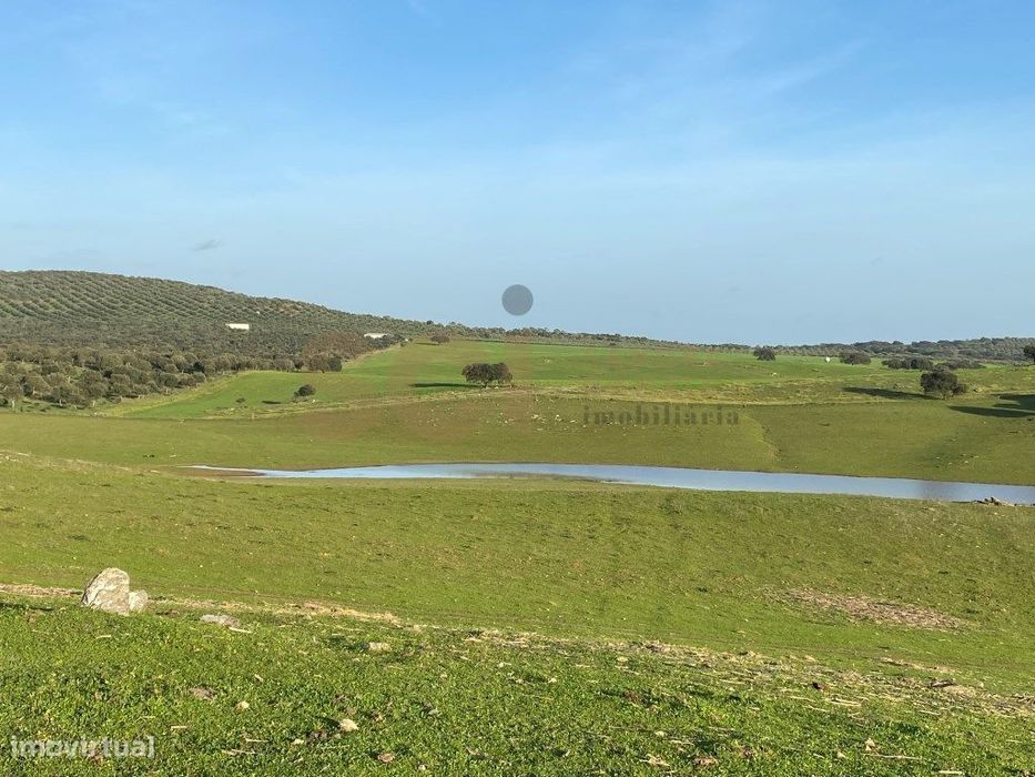Herdade em Vila Verde de Ficalho, com cerca de duzentos hectares