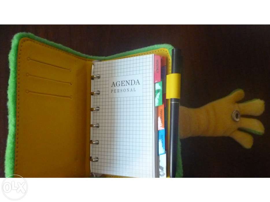 Organizer - Agenda verde em pêlo. Tamanho A6. Sapo