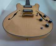 J&D sh40 c/ pickups Epiphone e hardcase
