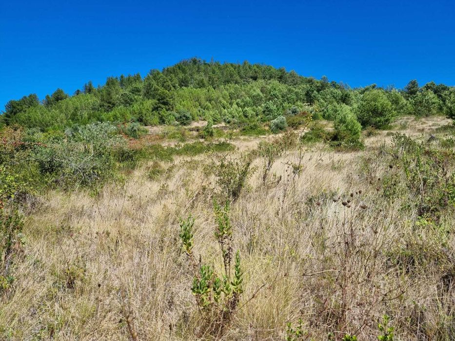 Terreno agricola e florestal - 3€/m2