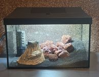 Akwarium AQUAEL 25L + filtr, grzałka, oświetlenie LED, napowietrzacz