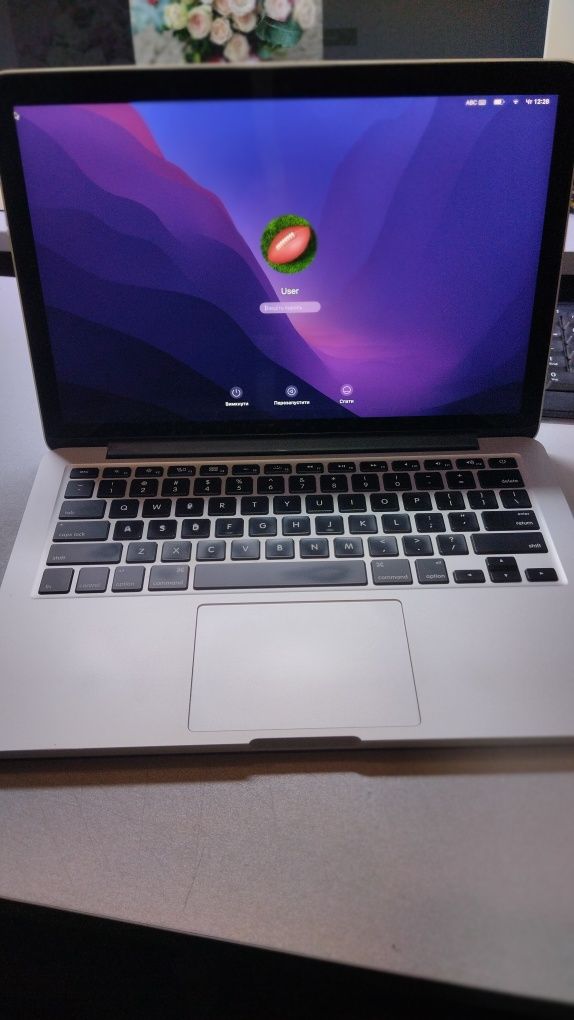 MacBook Pro 13  A1502 (Early 2015)
