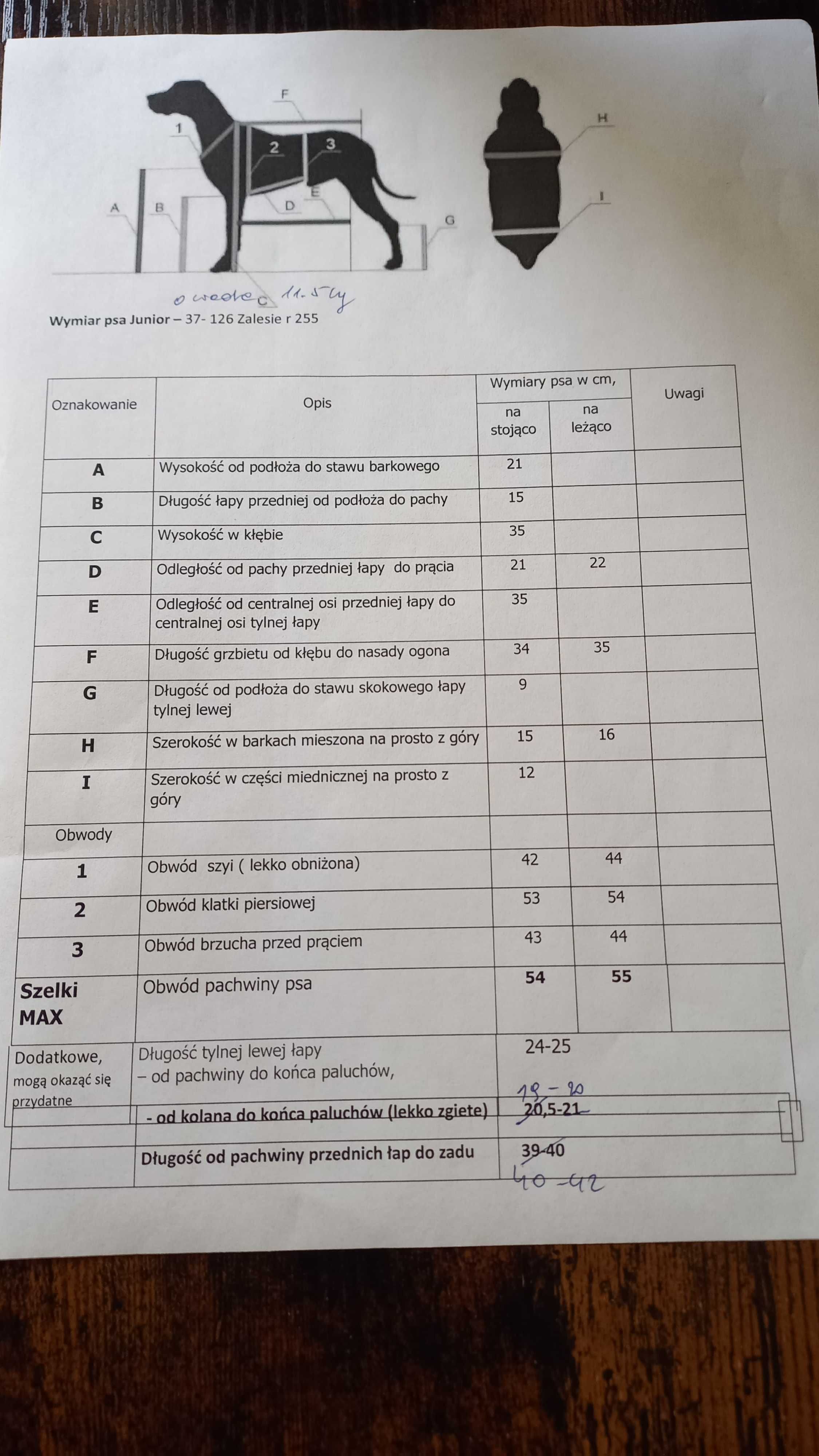 Wózek inwalidzki dla pieska z wyposażaniem
