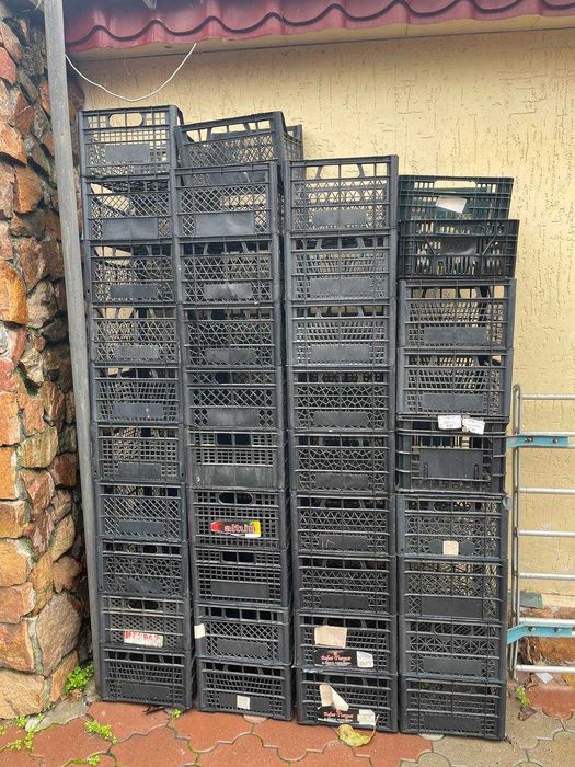 ящики пластмасовые б у