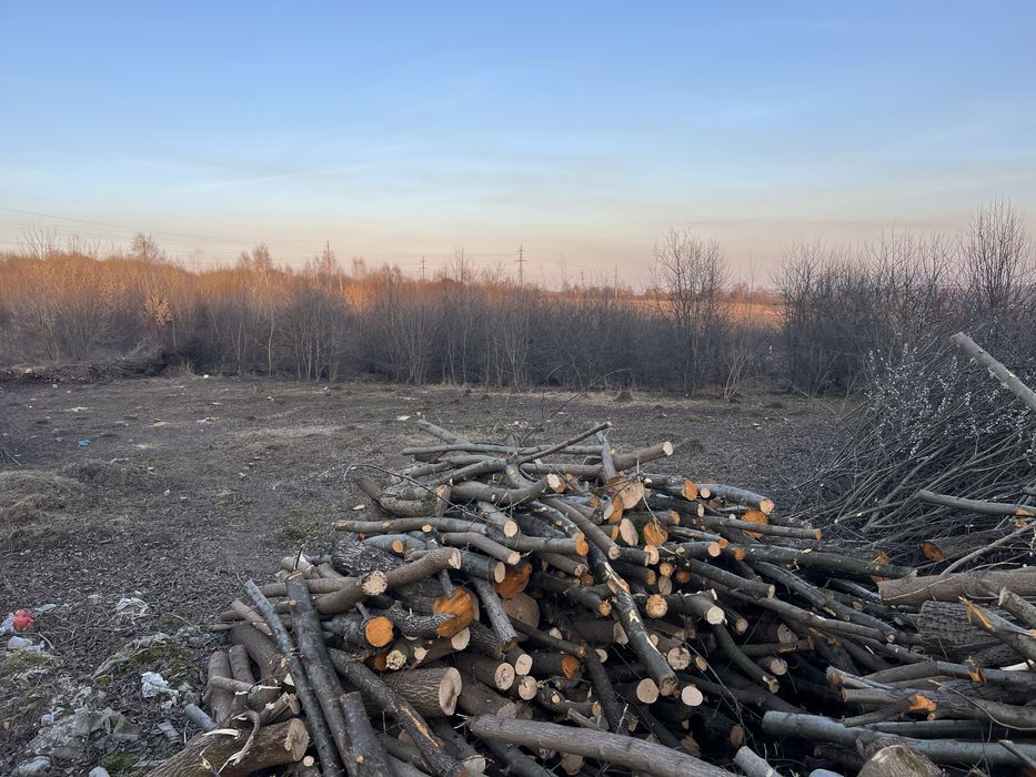 Чистка ділянок косіння трави зрізання дерев кущів