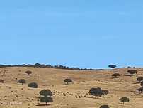 Terreno com 1.925 ha