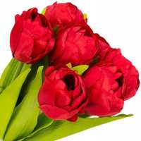 Bukiet Tulipan 7 Kwiatów 7X4 Cm, Łodyga 45 Cm