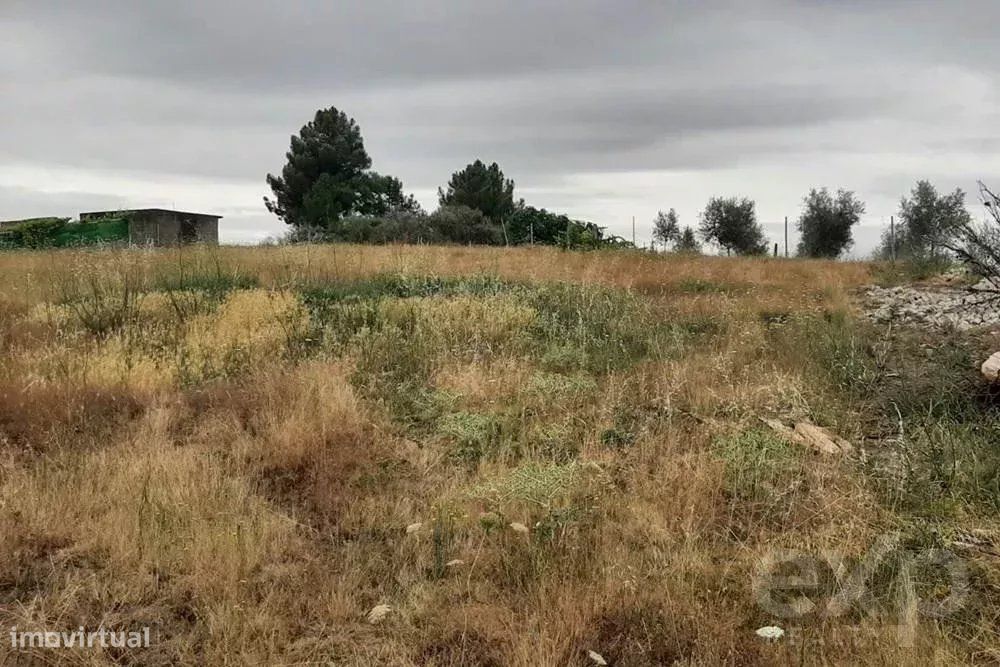 Terreno de 1800 m² à venda em Mirandela, Portugal