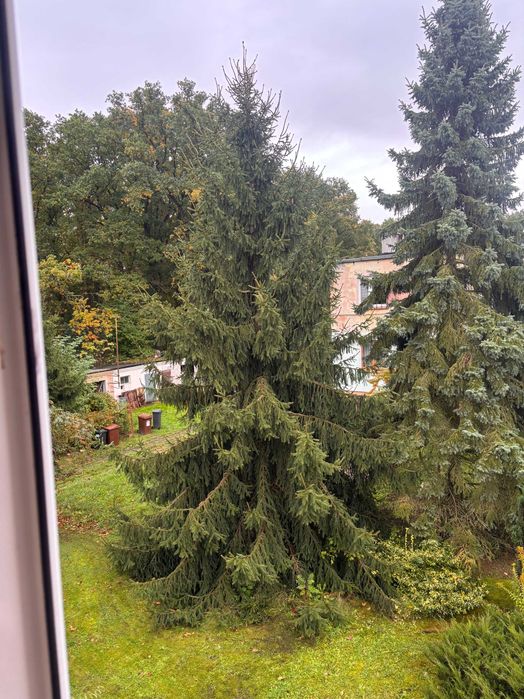 Sprzedam mieszkanie bezczynszowe 38m2 - Raszowa Mała