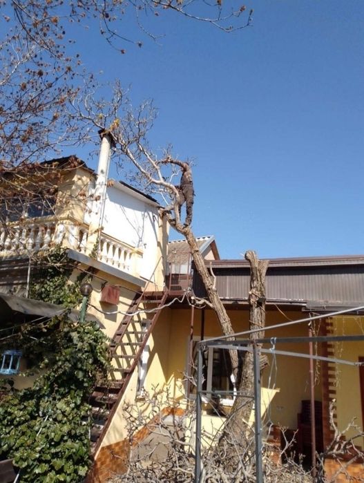 Очистка участков Покос травы вивоз мусора спил деревьев