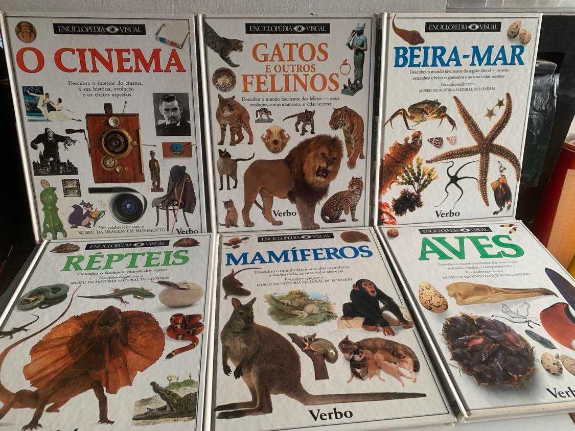 Livros em capa dura Astérix + Verbo!