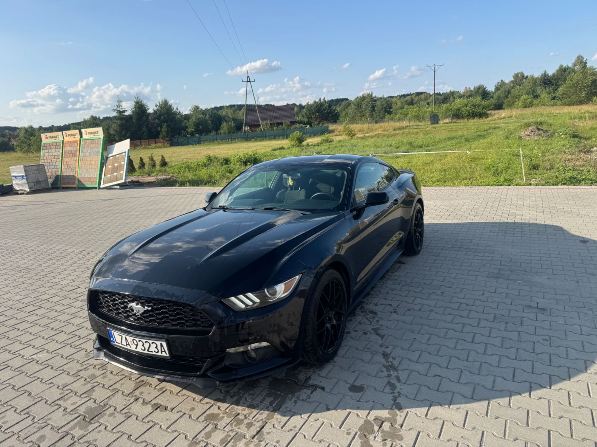 Ford Mustang 2.3 317KM 2015 rok