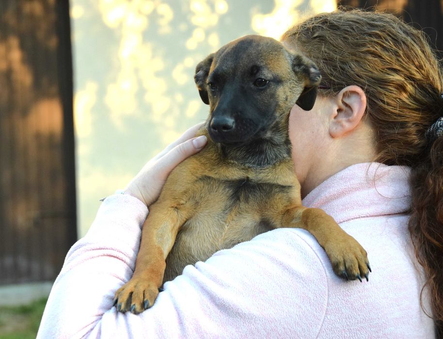 Maleńka, cudna, wesoła, tulaśna, bezdomna ok 4 mies sunia czeka na dom