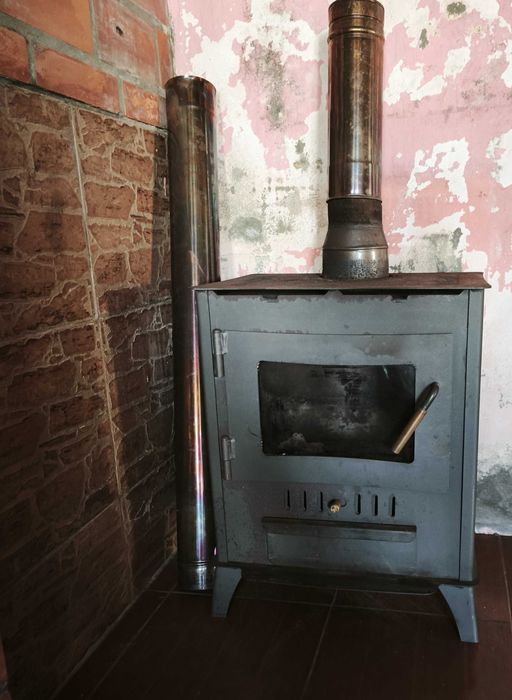 Salamandra em estado razoavél