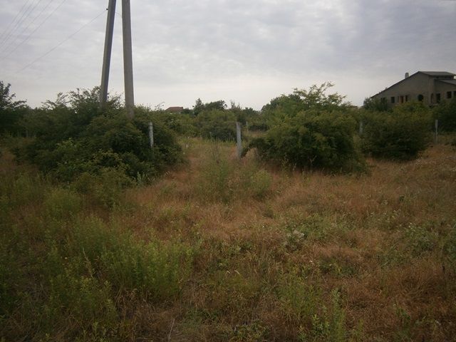 Земельна ділянка 10 сот. с. Холодна Балка, СО "Світанок"