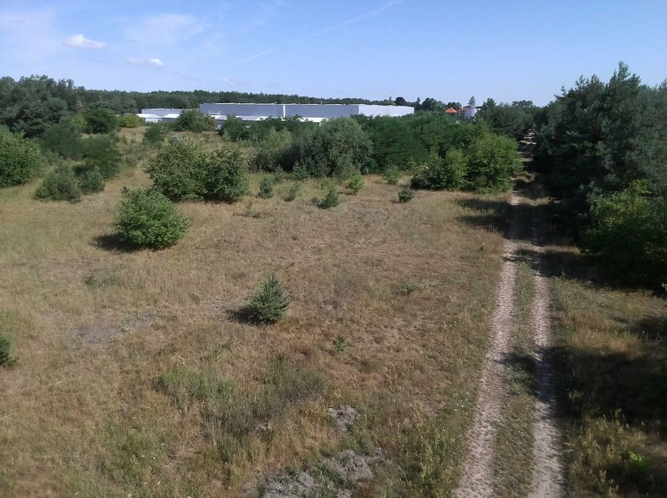 Duża działka inwestycyjna przy DW 338 w Wołowie