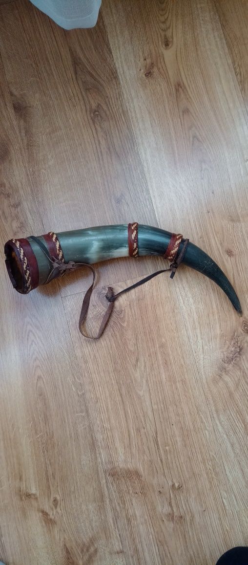 Róg antyk Afryka