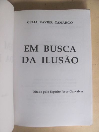 Em Busca da Ilusão de Célia Xavier Camargo