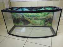 Akwarium 80x35x40