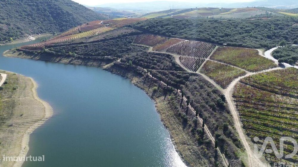 Quinta em Horta de 584006,00 m2