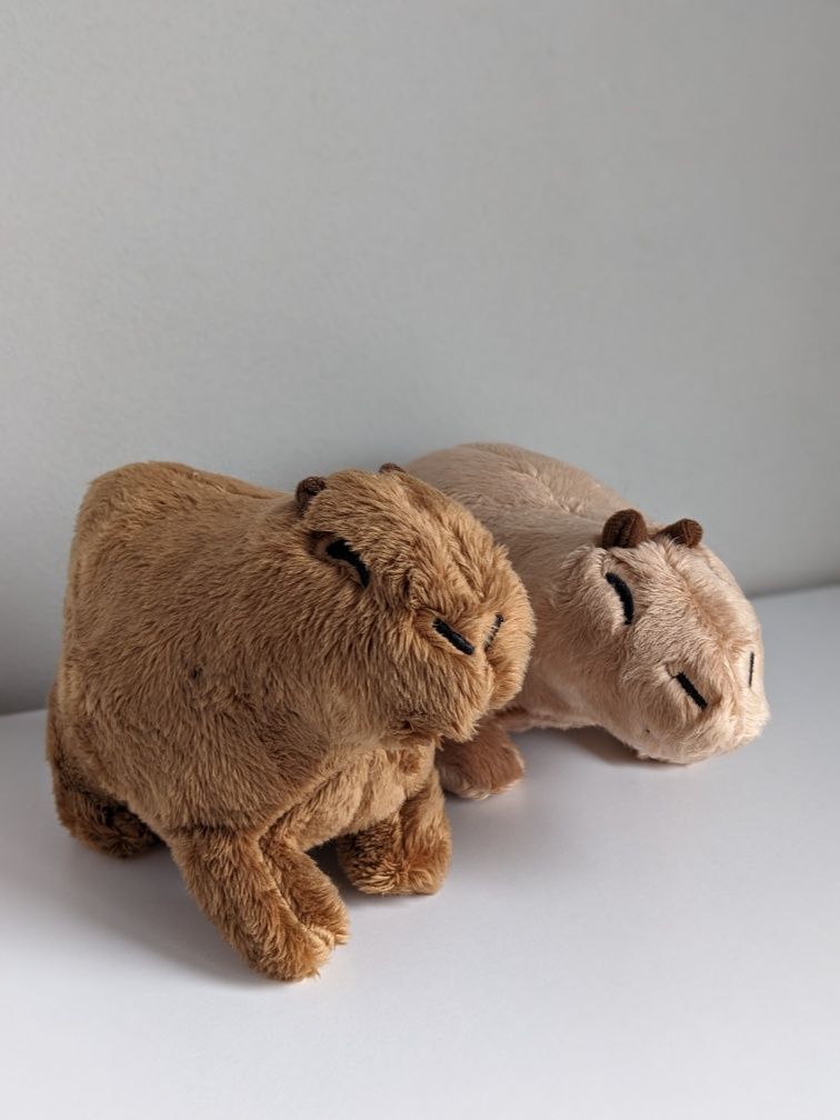 Capybara. Капібара. Капибара іграшка